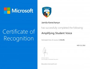 Amplifying Student Voice -1
