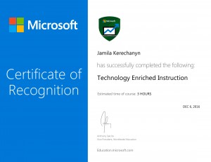 Technology Enriched Instruction-1